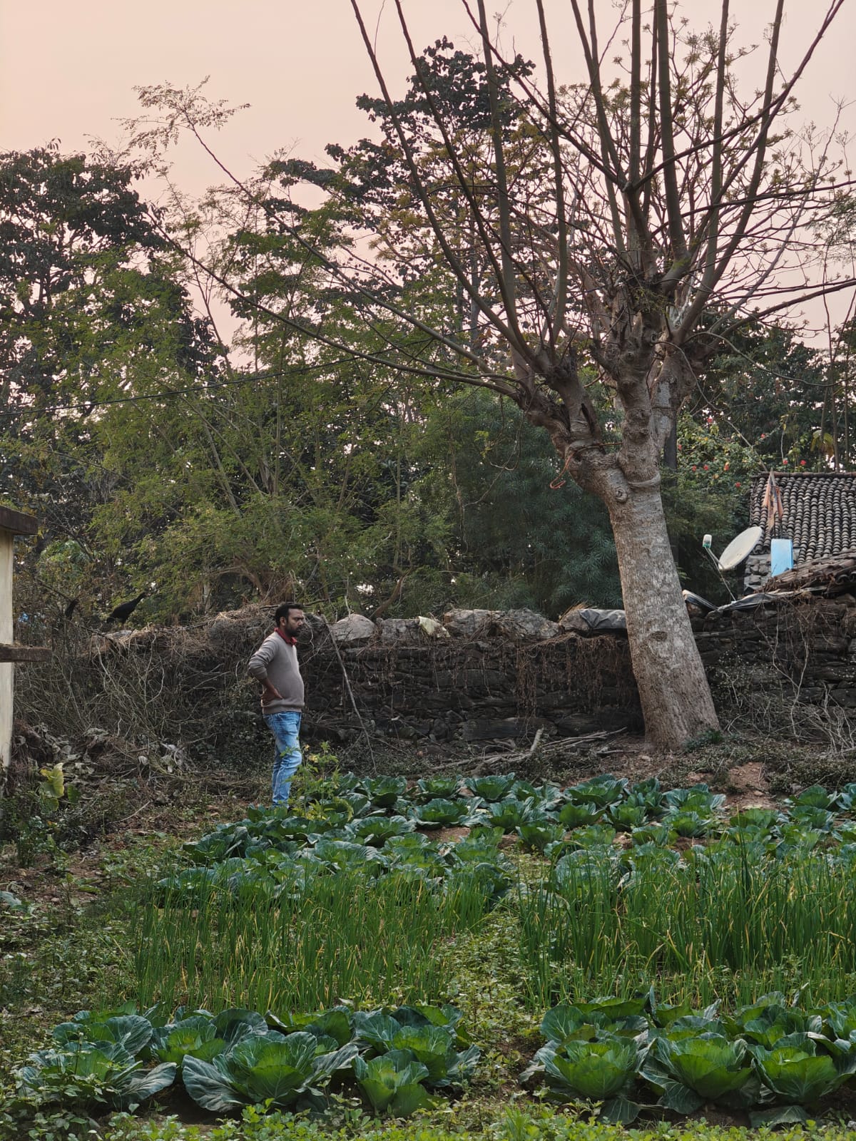 Pratima Mahto Nutri-Garden 4